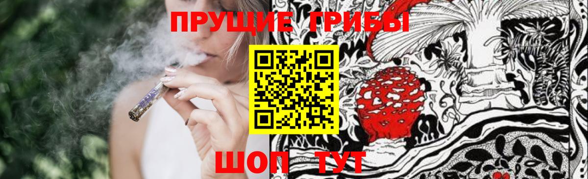 Псилоцибиновые грибы Psilocybe  Вход с VPN  Видное 