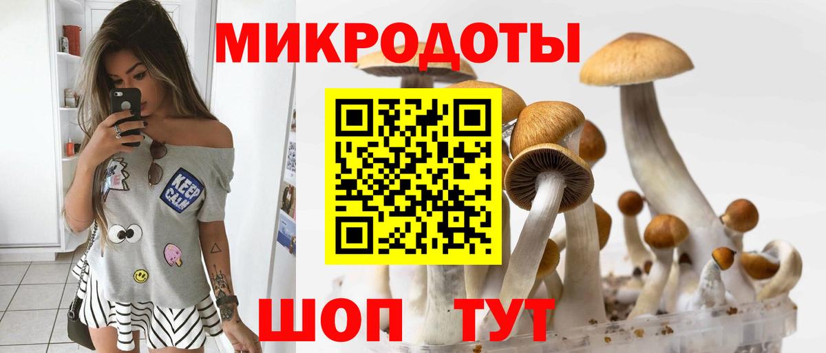 Псилоцибиновые грибы ЛСД Видное